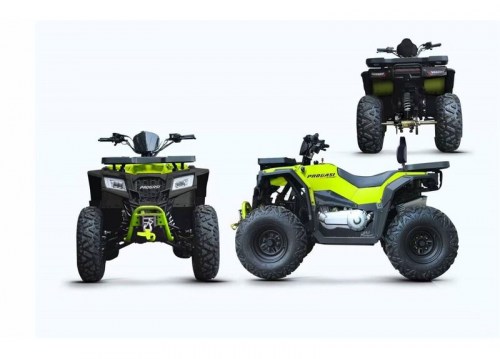 kvadrocikl-progasi-racejumper-maxpower-200-2
